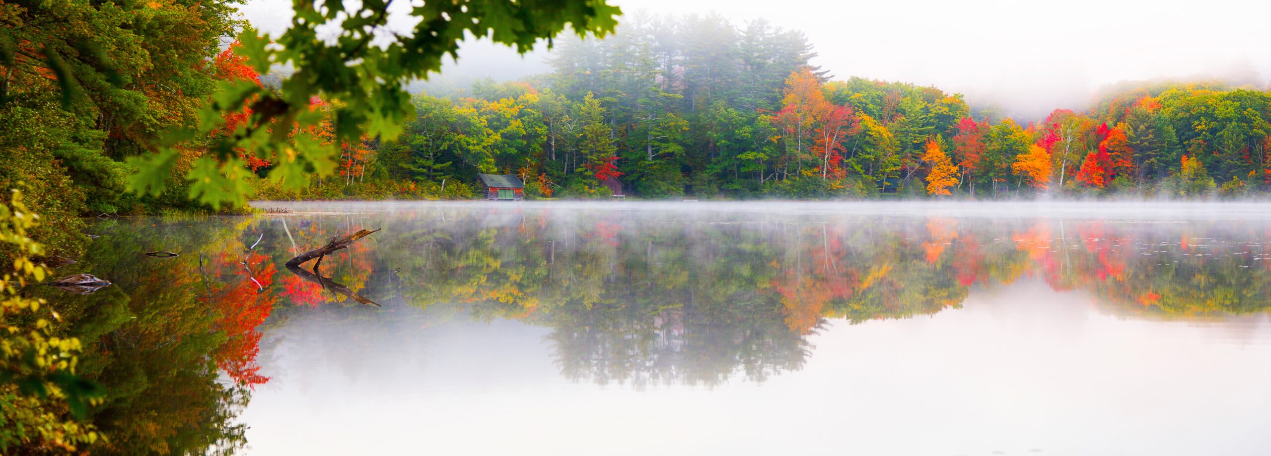 AutumnMist1