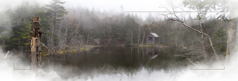 Cabin1
